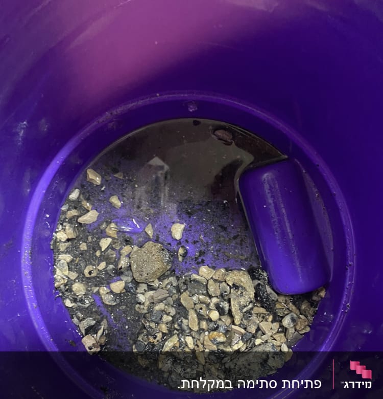 דלי סגול עם מים ואבנים בתחתית